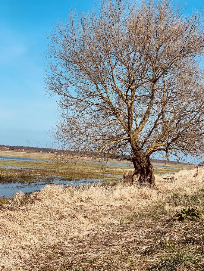 Tilia Authentic Home, Butikowe Apartamenty Nad Morzem Mikoszewo Bagian luar foto