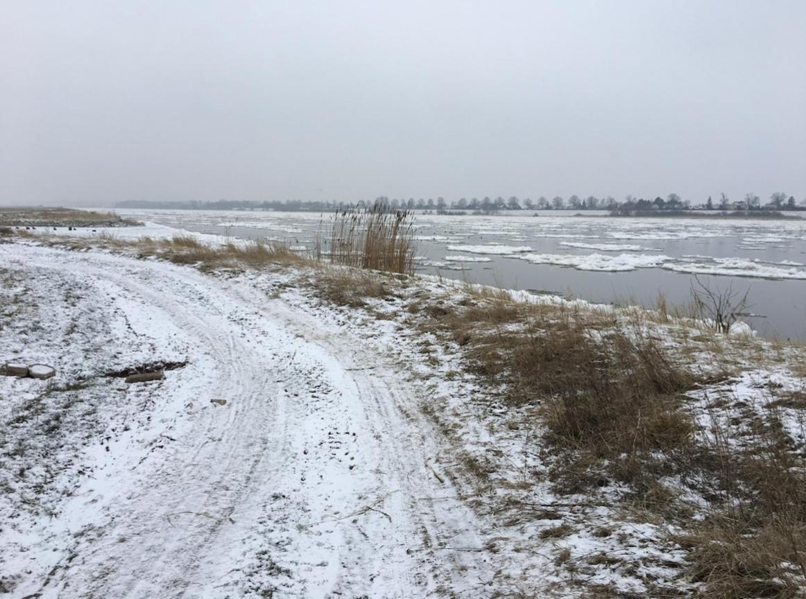 Tilia Authentic Home, Butikowe Apartamenty Nad Morzem Mikoszewo Bagian luar foto