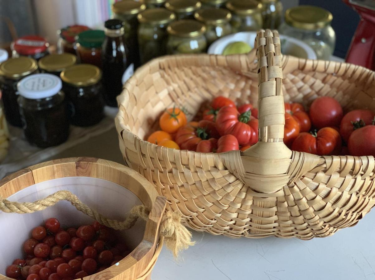 Tilia Authentic Home, Butikowe Apartamenty Nad Morzem Mikoszewo Bagian luar foto